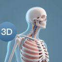 3dbody人体解剖学app