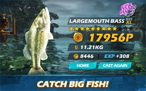 欢乐钓鱼大师国际版截图3