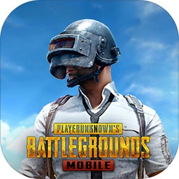 pubg国际服安卓直装版