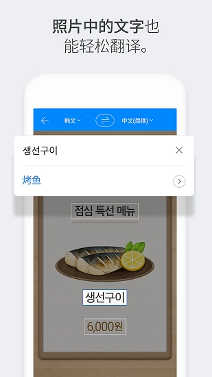 papago中韩翻译截图3