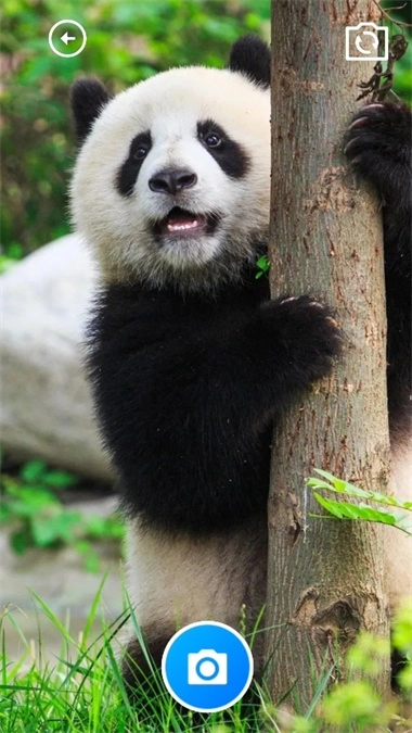 小精灵百宝箱截图2