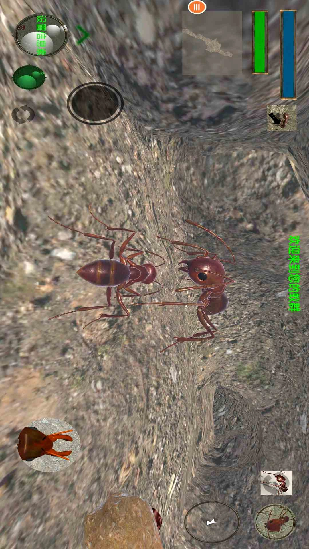 蚂蚁模拟器汉化版截图3