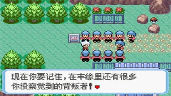 口袋妖怪蛇纹木截图2