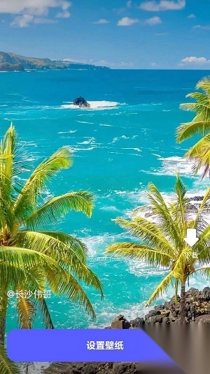 苏打壁纸截图2
