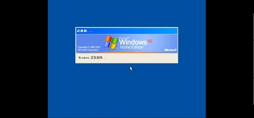 windows模拟器安卓版截图3