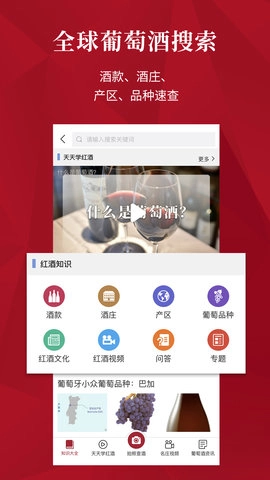 红酒世界截图2