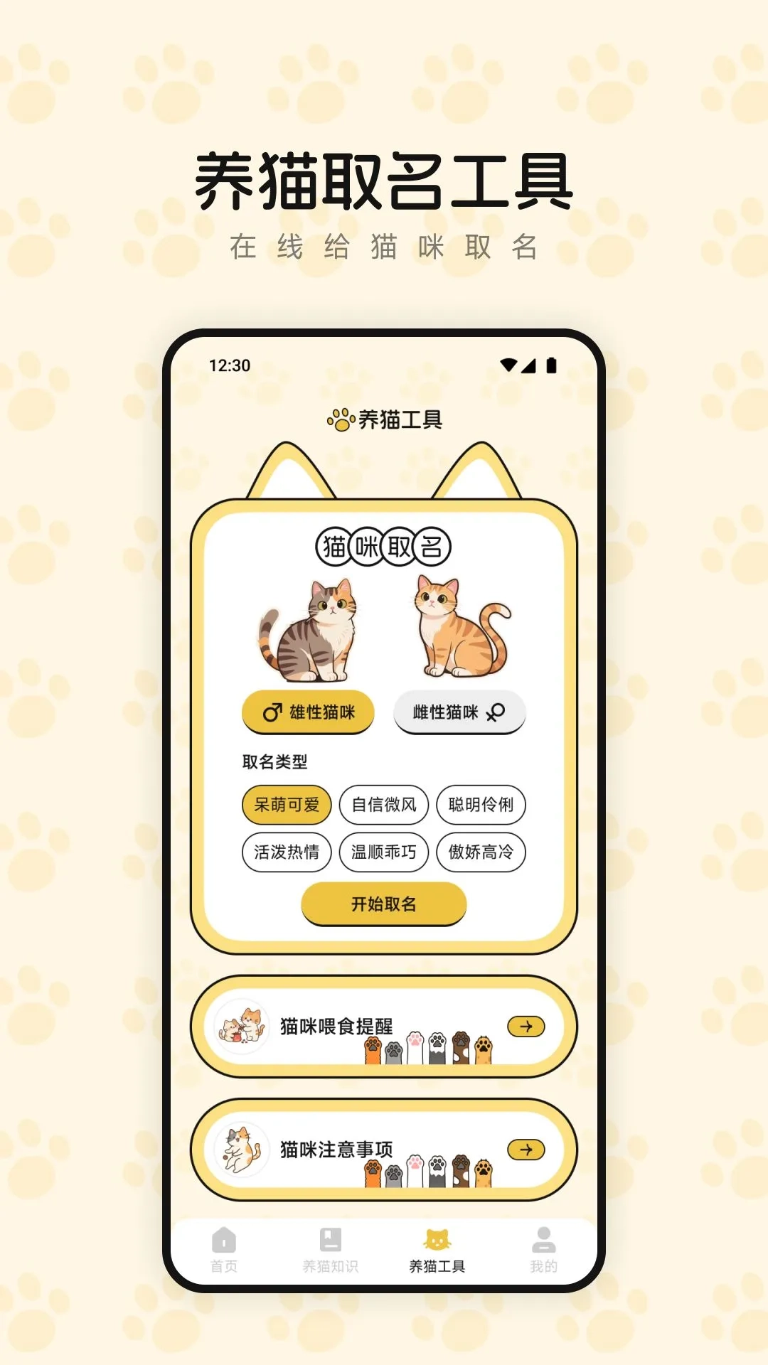 治愈小猫咪截图1