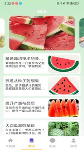 就要大西瓜截图1