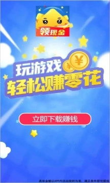 数字生花直装游戏版截图1