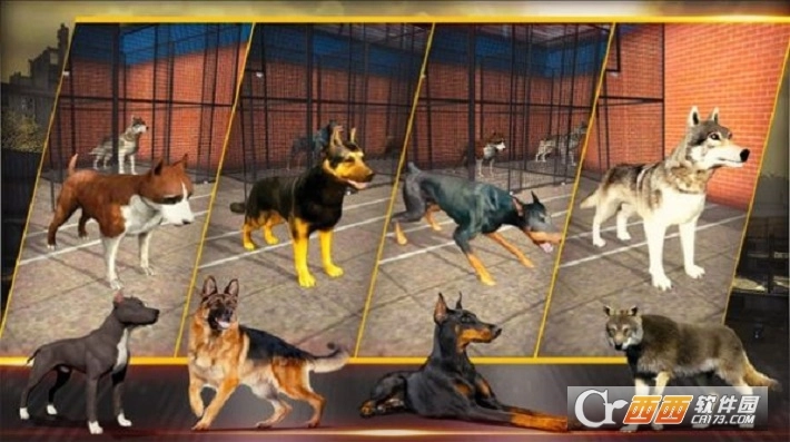 特别行动小组2026截图2