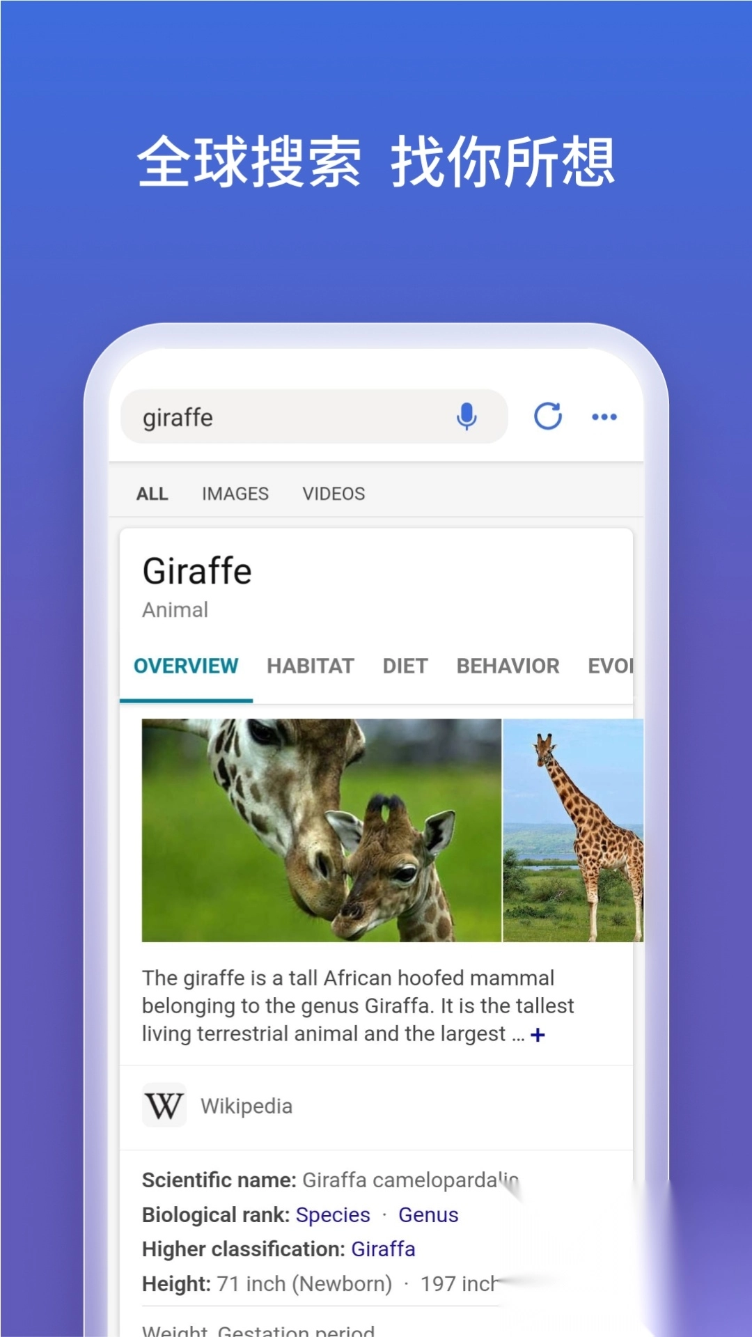 Bing浏览器安卓版截图3