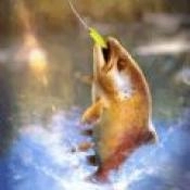 终极钓鱼大师游戏安装包