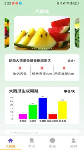 就要大西瓜截图3