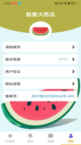 就要大西瓜截图2