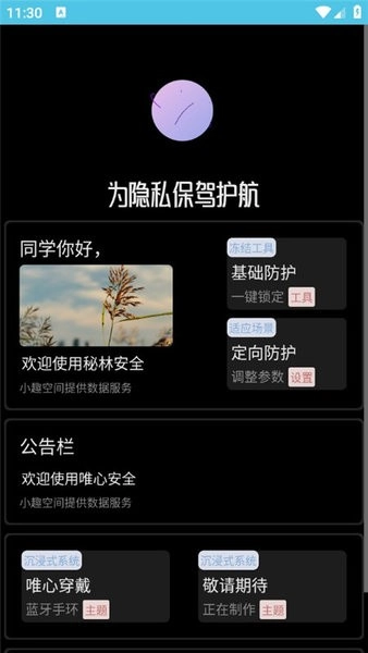 秘林手表版截图2