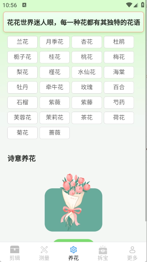 真能帮工具箱截图3