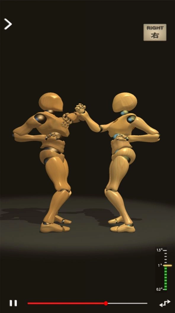 咏春人型师截图1