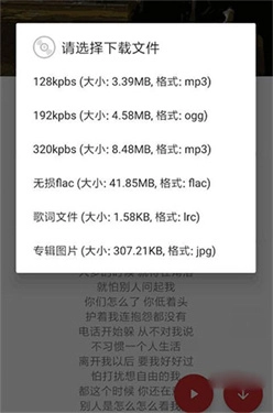 qmd音乐截图3