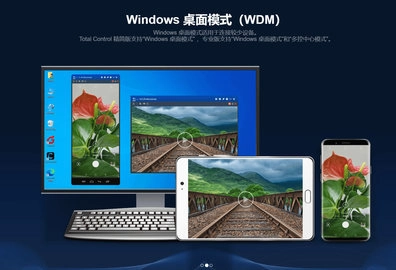 total control截图1