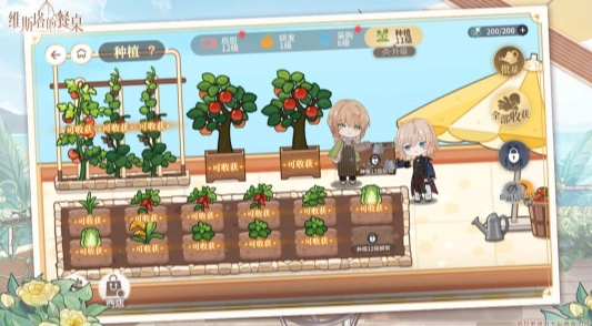 维斯塔的餐桌截图2