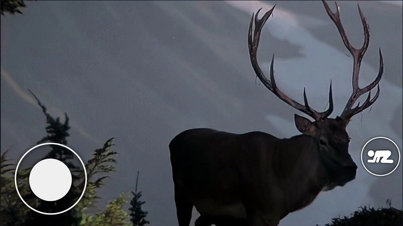 恐怖森林猎人截图1