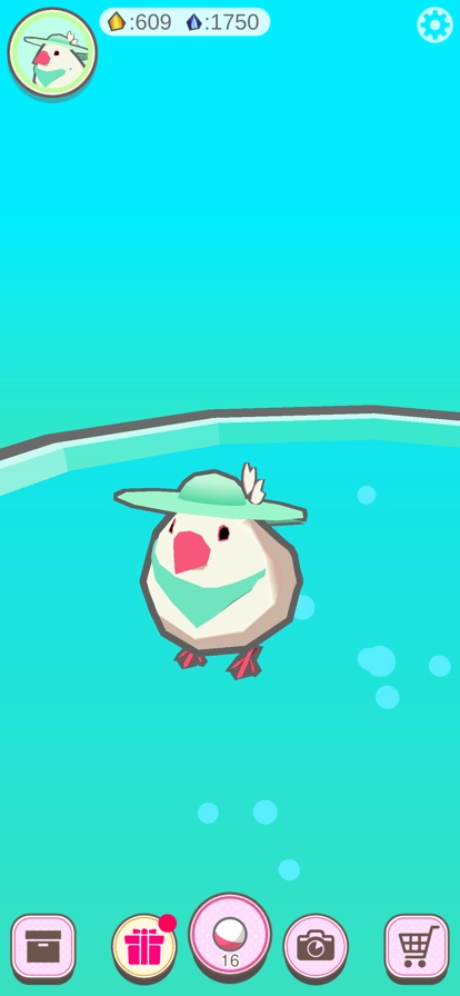 文鸟芭菲宠物截图3