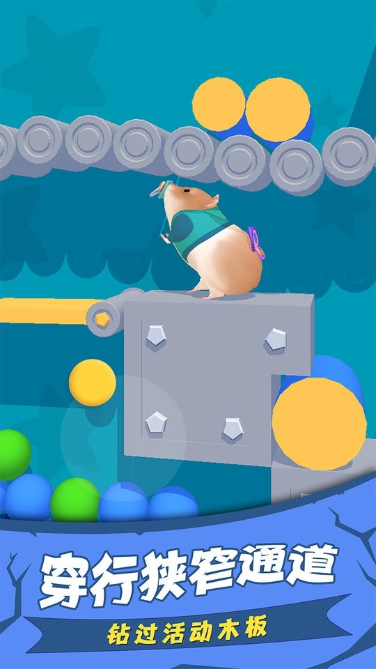 萌宠竞技大赛截图3