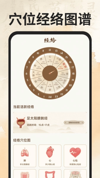 穴位经络图谱截图2