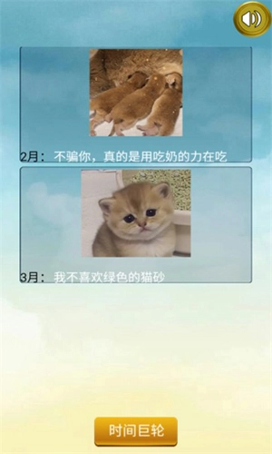 猫的一生重启模拟器手游版截图1