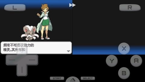 口袋妖怪白2截图2