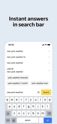 yandex俄罗斯引擎截图2