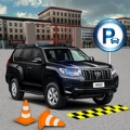 dr普拉多停车(Prado Parking game)