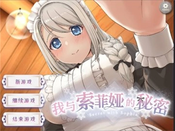 我与索菲亚的秘密截图2