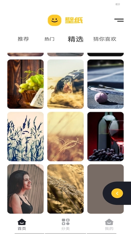 精选主题壁纸截图1