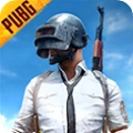 pubg国际服