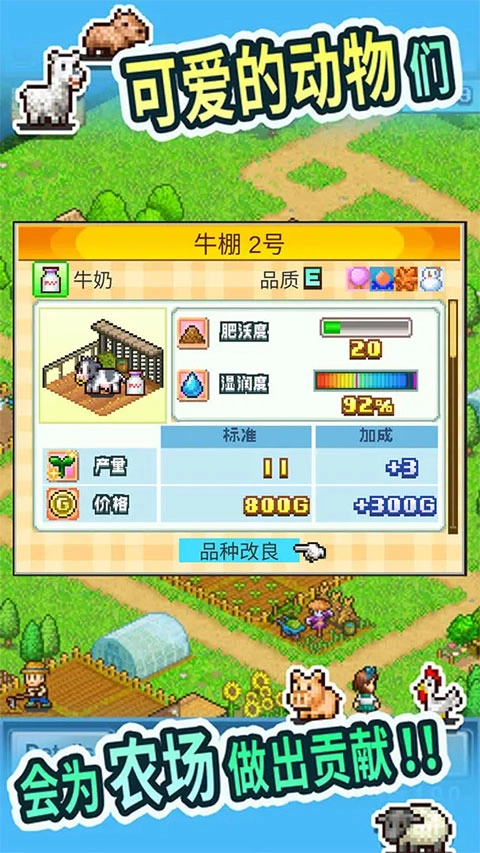 晴空农场物语正版截图3