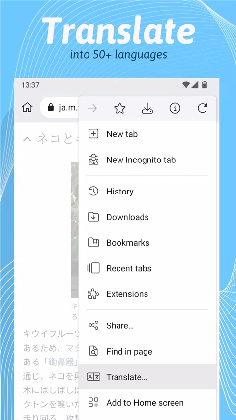 kiwi浏览器截图2