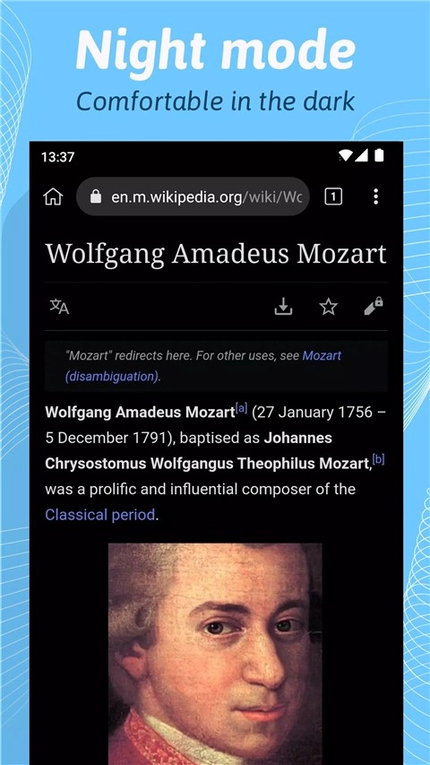 kiwi浏览器截图1