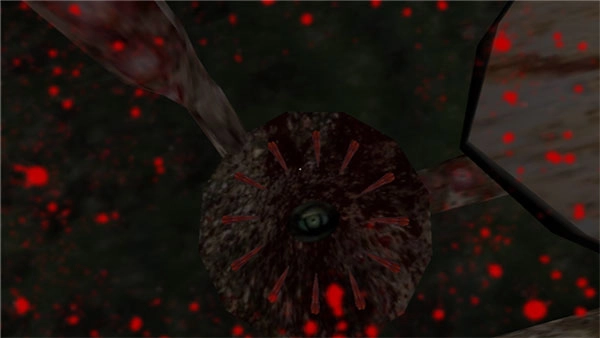 恐怖奶奶中文手机版截图2