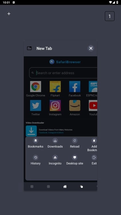 safari浏览器(safari browser)截图3
