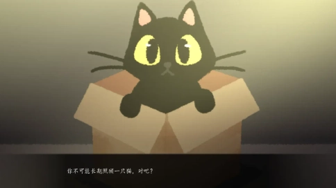 别带这只猫回家游戏截图1
