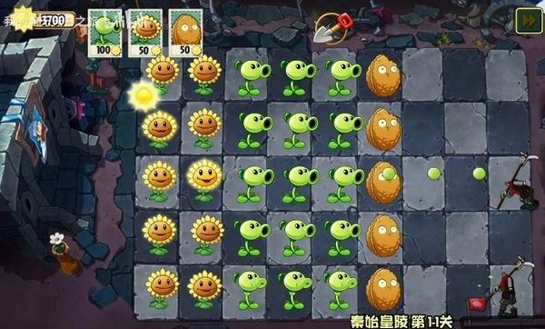 植物大战僵尸wenhua版截图2