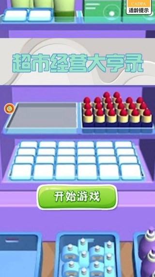 超市经营大亨录截图1