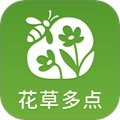 花草多点