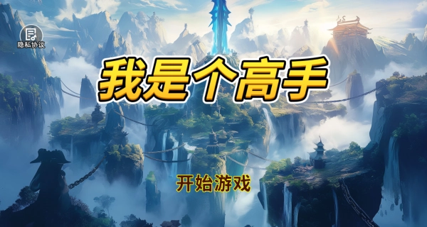 我是个高手截图1