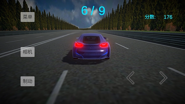 拉力赛车王截图3