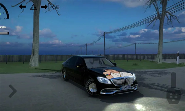 仿真汽车模拟器2026安卓版截图2