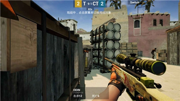 CSGO截图2