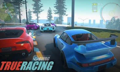 OWRC：开放世界赛车截图2