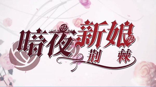 暗夜新娘游戏截图1